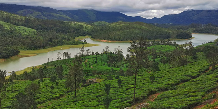 Mattupetty Lake and Dam