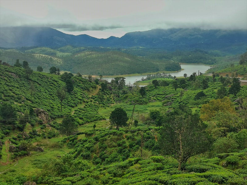 High-altitude fishing in Munnar - The Siena Village resort
