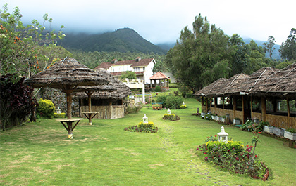 sienavillage view