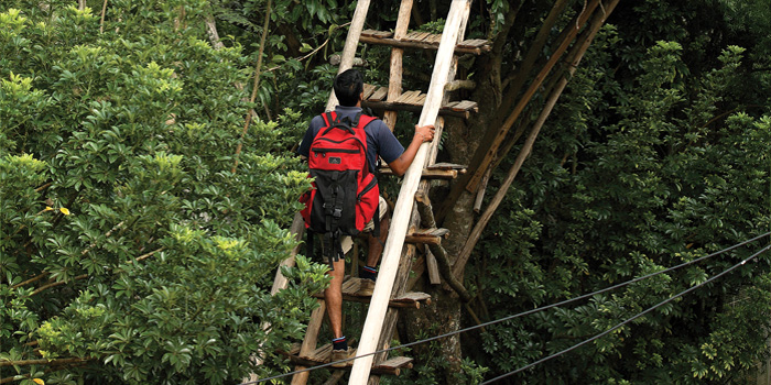 Trekking