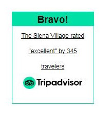 TripAdvisor