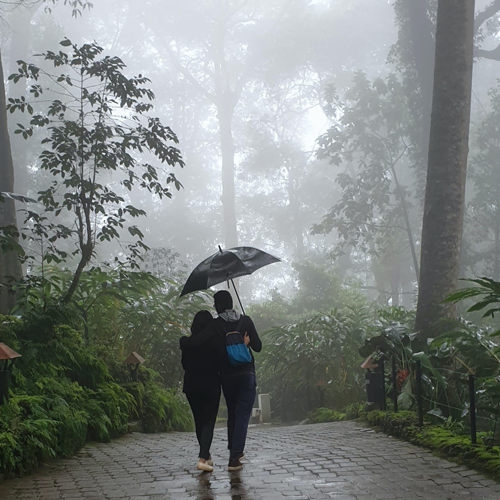 Jingle All the Way to Munnar: Your Ultimate Destination for the Christmas Holidays!