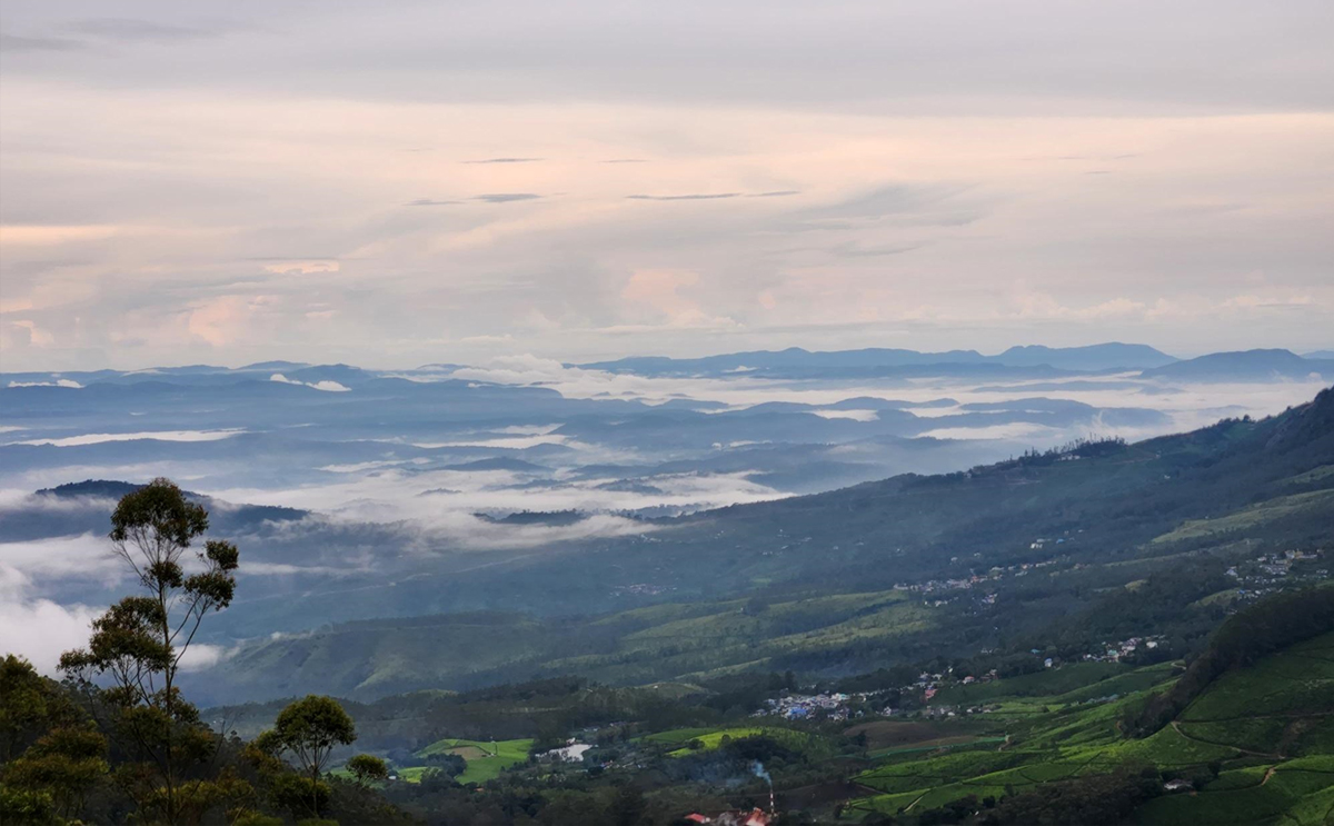All About Kolukkumalai: Tea, Glamping, Trekking, and more!